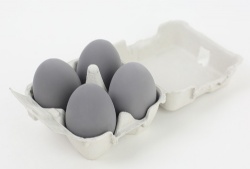 Diatomite egg