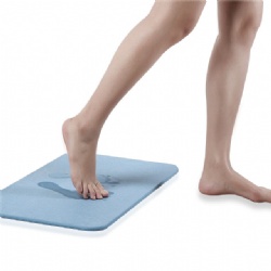 Diatomite bath mat